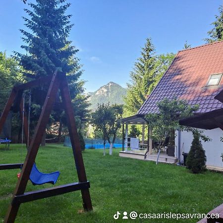 Casa Aris Lepsa Vrancea Hotel Exterior photo