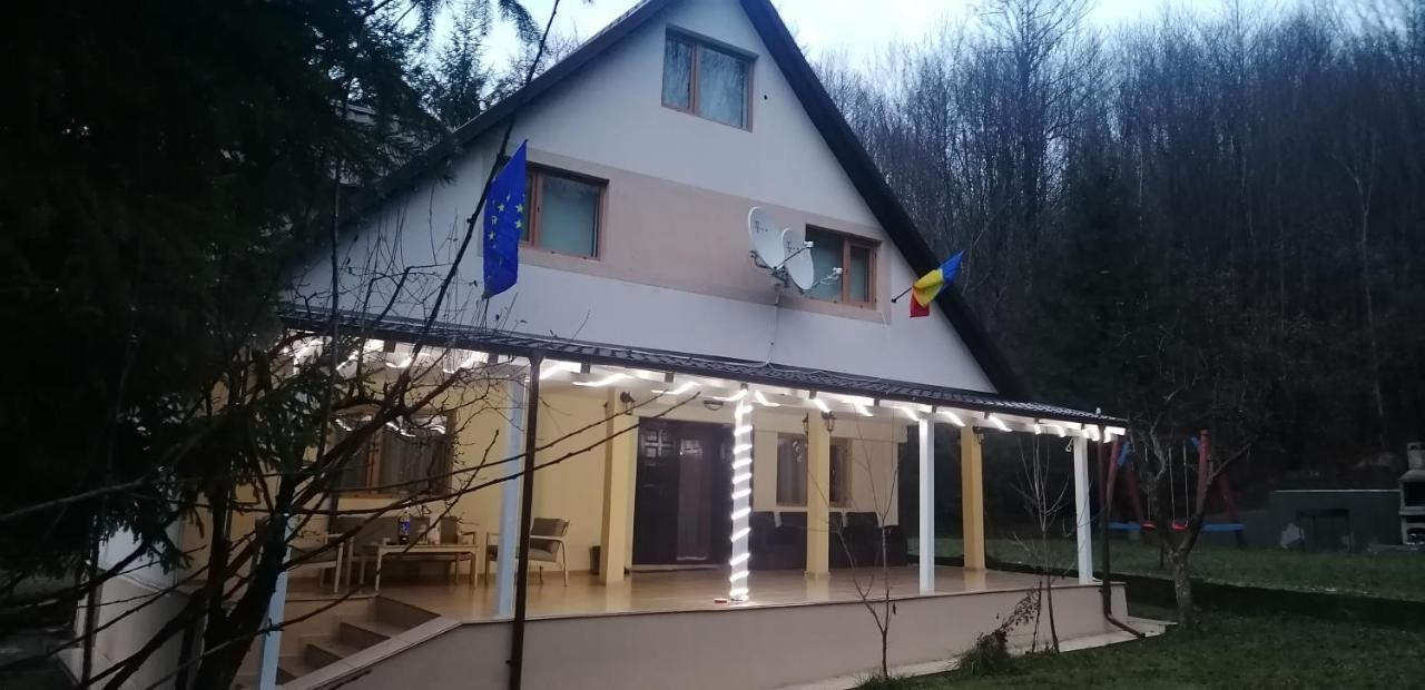 Casa Aris Lepsa Vrancea Hotel Exterior photo