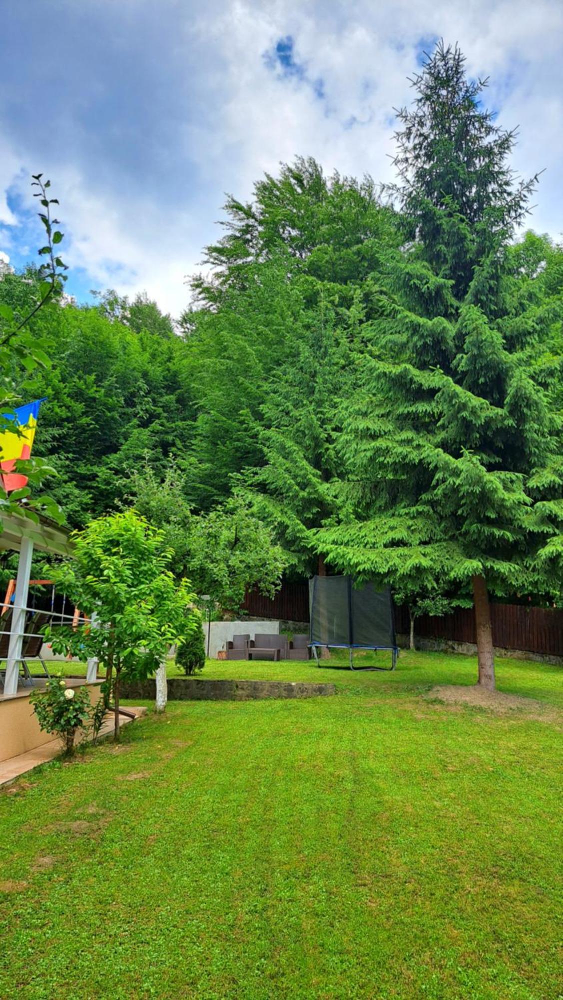 Casa Aris Lepsa Vrancea Hotel Exterior photo