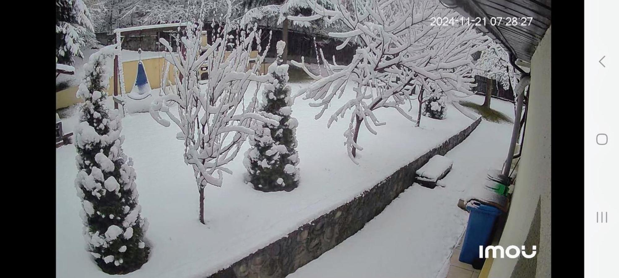 Casa Aris Lepsa Vrancea Hotel Exterior photo